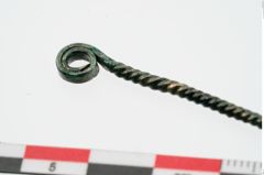 Foto von Bronzenagelreiniger (NHMW-PRAE-024108)